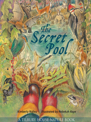 cover image of The Secret Pool